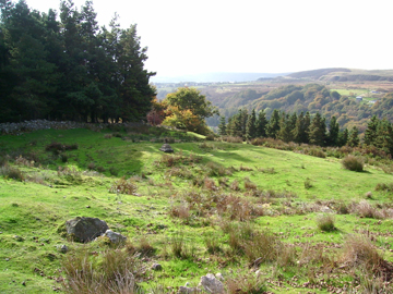 The grounds of Capel Newydd are shown, a barren rocky landscape with hills and trees in the distance