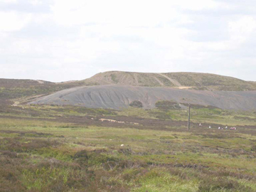 Canada Tips can be seen across the barren landscape