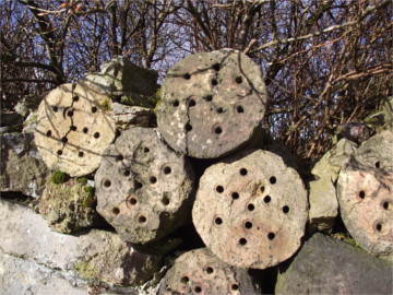 Logs can be seen piled up along the Forge side trail