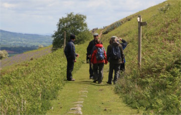 People walking the Roots trail