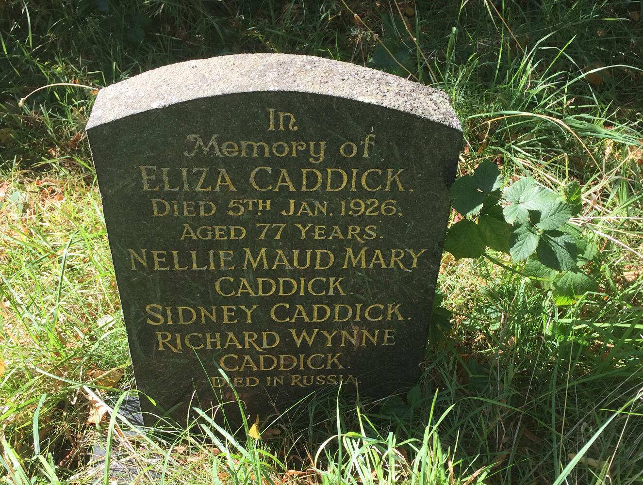 Caddick family