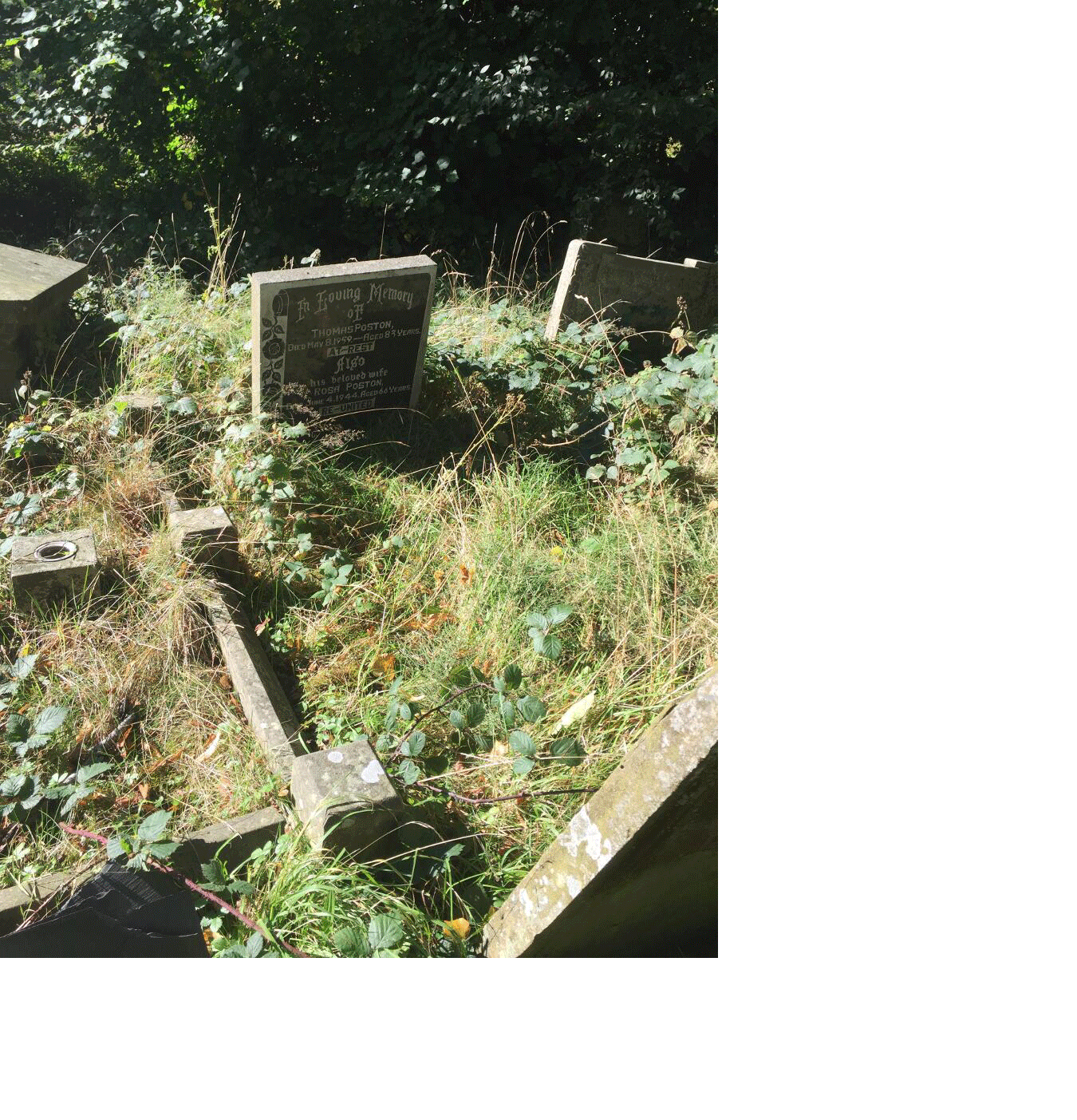 Interesting Graves 