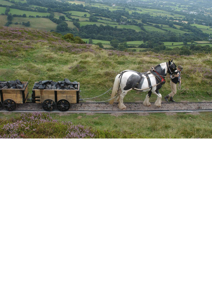 Hills Tramroad
