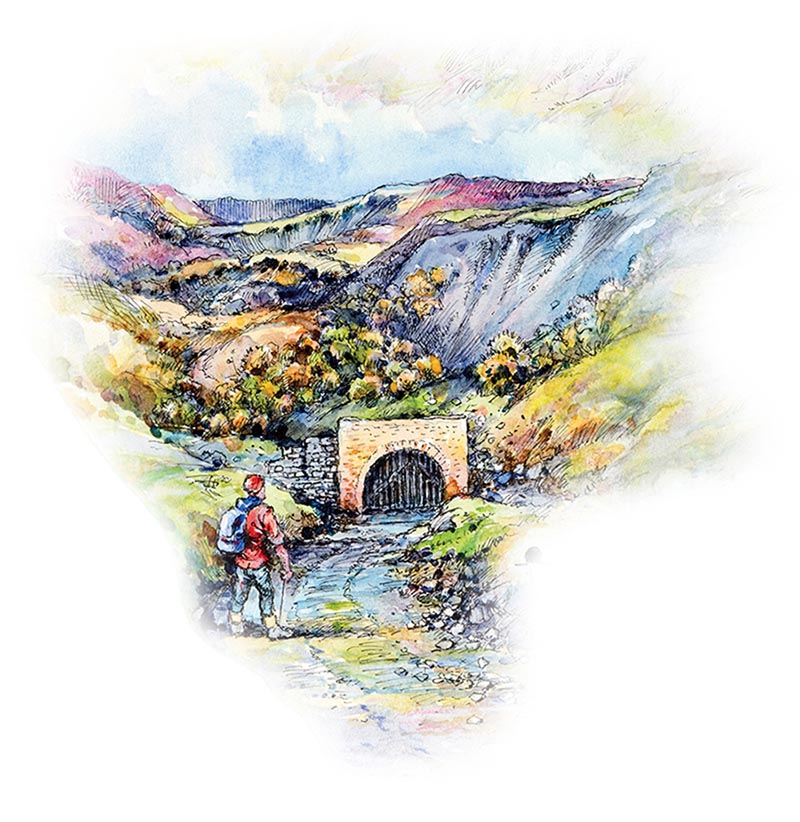 human endeavour illustration