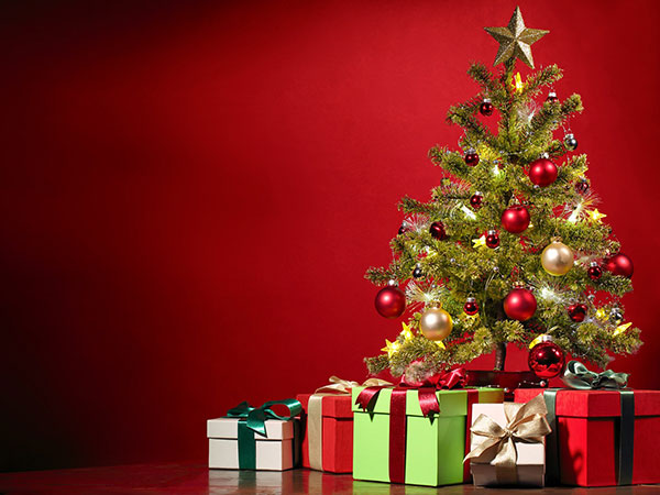Presents surrounding a Christmas Tree