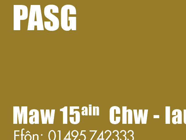 GWEITHGAREDDAU’R PASG