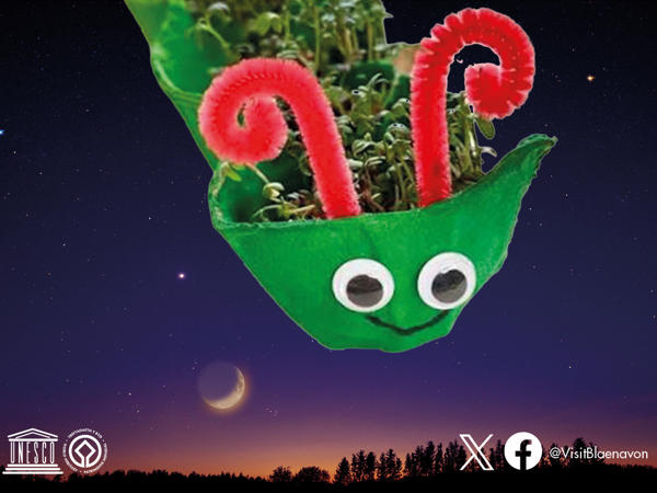 February Half Term Activities Poster