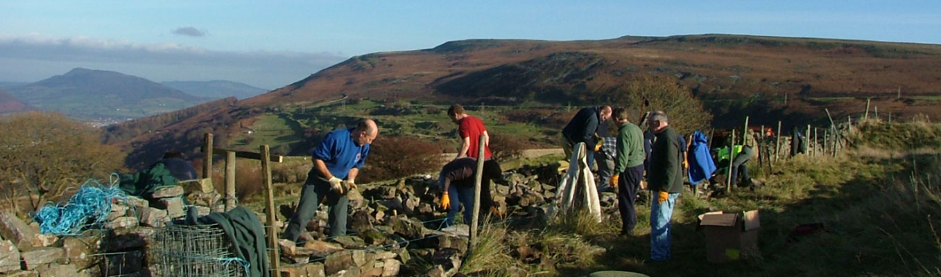 Volunteers helping with dry stone walling