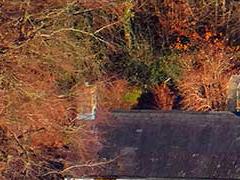 Forge Row, Cwmavon Road, Cwmavon, part of the Cwmavon Conservation Area. (Photo: NA Matthews)