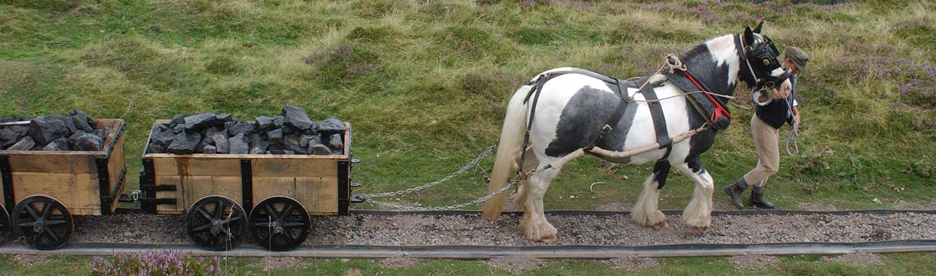 Reconstruction of a horse pulling trams of coal along Hill’s Tram Road