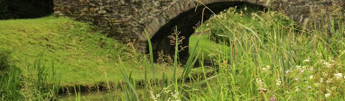 Neath Canal Resolven © Crown Copyright Visit Wales 2016