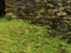 Neath Canal Resolven © Crown Copyright Visit Wales 2016