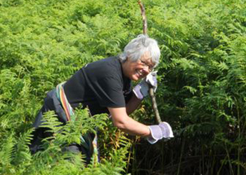 Bracken Bashing at Gilwern Hill 2