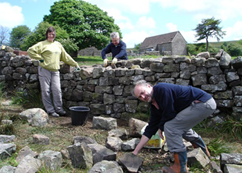 Dry Stone Walling