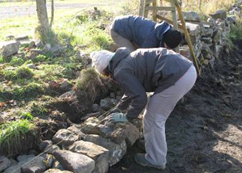 Dry Stone Walling